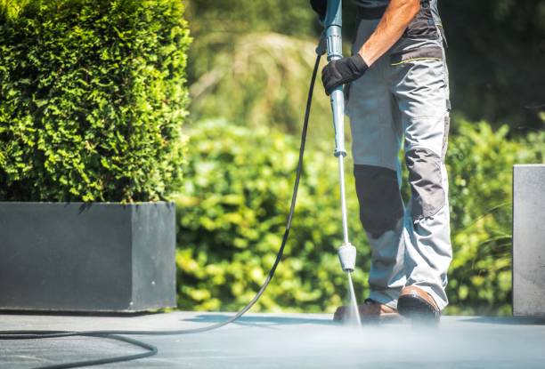 Best Rust Removal  in Chesilhurst, NJ