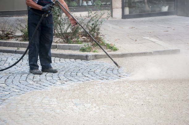 Best Fence Cleaning  in Chesilhurst, NJ
