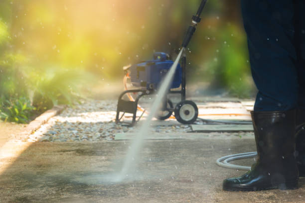 Best Animal Enclosure Cleaning  in Chesilhurst, NJ